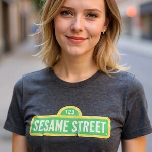 Sesame Street 123 Street Sign Distressed Logo Graphic T-Shirt Unisex 2XL Gray